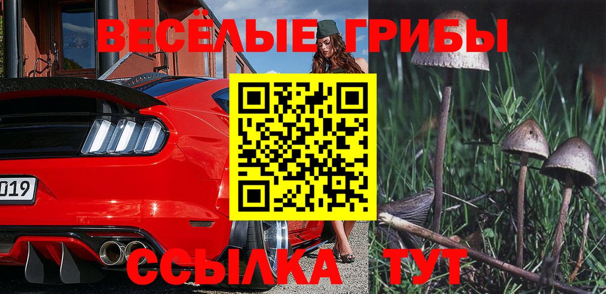 Галлюциногенные грибы GOLDEN TEACHER Карабулак